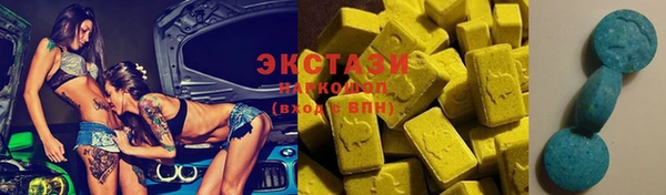индика Сясьстрой