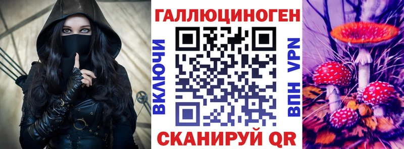 Галлюциногенные грибы GOLDEN TEACHER  даркнет сайт  Динская 