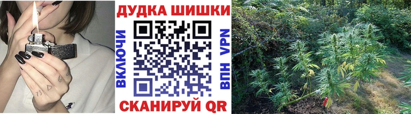 OMG маркетплейс  Динская  Каннабис Bruce Banner 